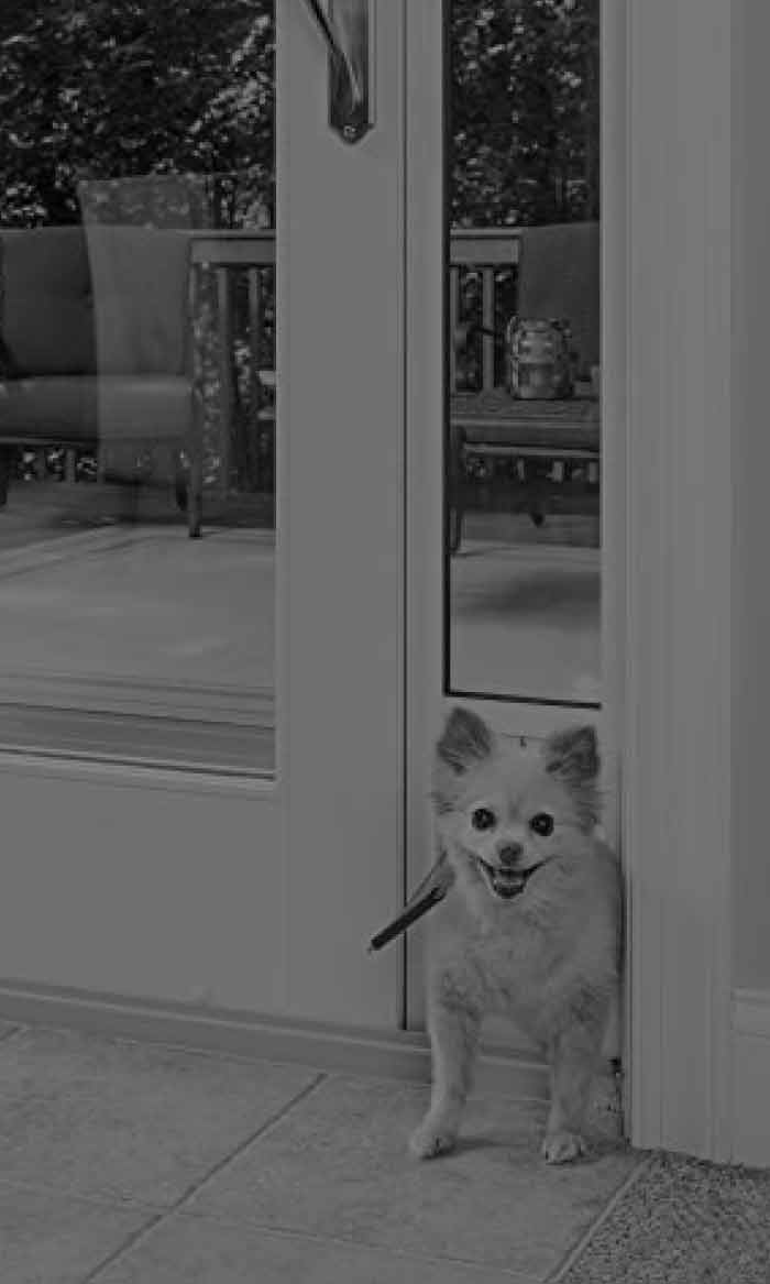 puertas para mascotas